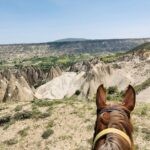 Horse Riding Forest & Beach Adventure
